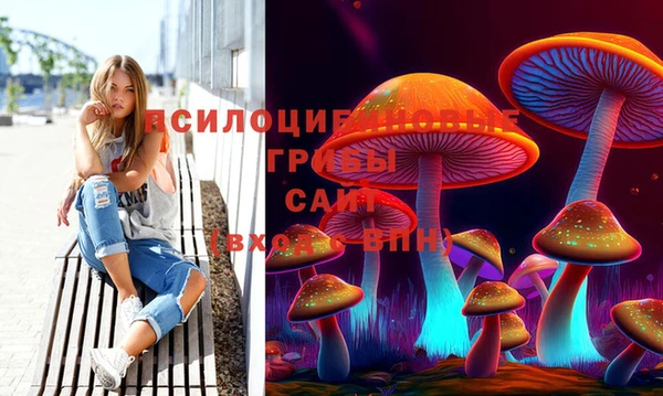 хмурый Армянск