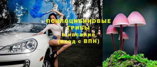 соль ск Арсеньев