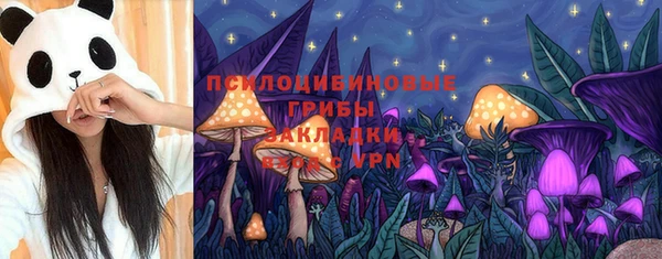 хмурый Армянск