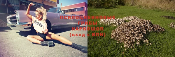 хмурый Армянск
