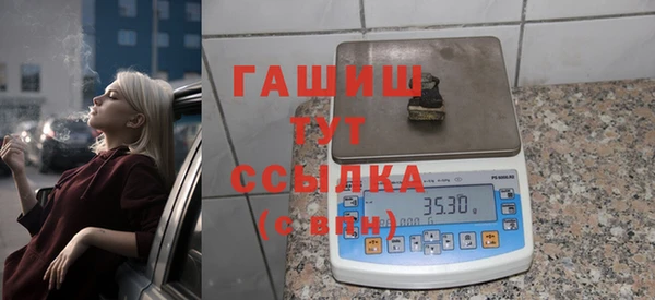 индика Нягань