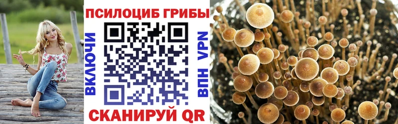 продажа наркотиков  Озёры  Псилоцибиновые грибы Magic Shrooms 
